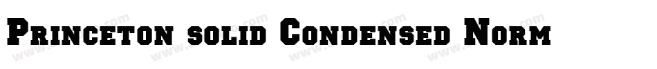 Princeton solid Condensed Normal字体转换